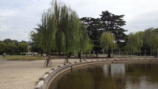 都会の中の憩いの場所