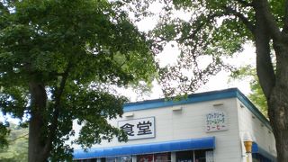 動物園のほぼ真ん中にある