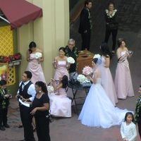 皆キレイでしたよ