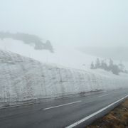 雪の壁が圧巻です。