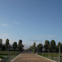 王宮前のナポリへ一直線で通じる道です。