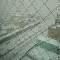 客室から表通りを眺めて