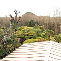 ２階客室からの眺望（パノラマ撮影）