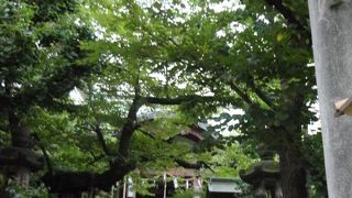 金刀比羅宮　全国6分社のひとつ