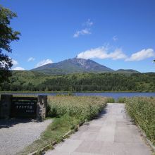 記念写真スポットとしていかがでしょうか？