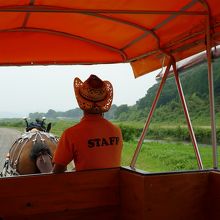 保津川下りの乗船場まで馬車に揺られて