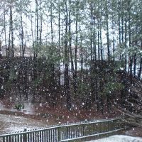 雪が降っていました