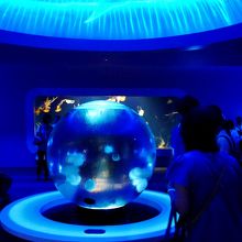 クラゲファンタジーホール