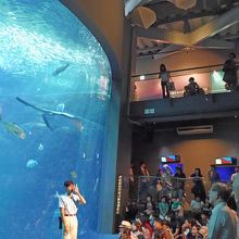 相模の海の展示