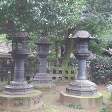 整然として美しい