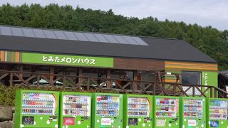 カットメロンが凄く美味しい！