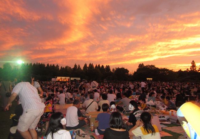 夏の終わりを感じる花火大会