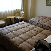 ツイン。広くはないけど寝るだけなので