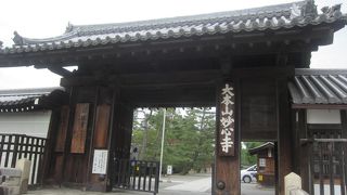 雲竜図を見たくて