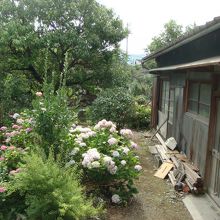 裏庭。映画「虹をつかむ男」にもよく似た風景あり。