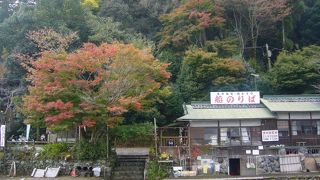 紅葉の時期です、出かけましょう！