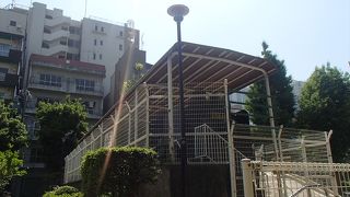 蒸気機関車が展示されています