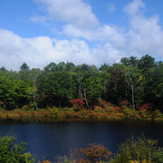 志賀高原の最初の池