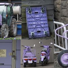 スクーター、台車、トラクター、ロッカーまでラベンダー色。