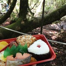 手配してくれた登山弁当