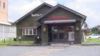 レストランバー BIRD LAND
