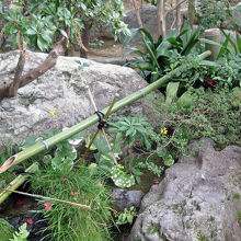 余香苑の水琴窟