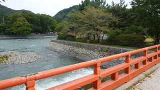 春は桜・秋は紅葉！