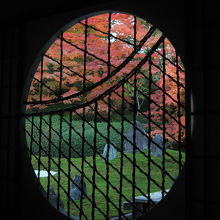 書院窓から眺めた波心の庭