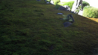 洛北の苔寺といわれる庭園