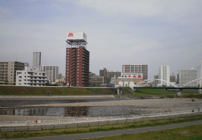 車道ギリギリにたってる