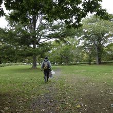 ここは隣接するキャンプ場