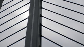 遡上する鮭をさがしにサイクリング♪