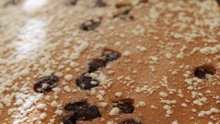 売り切れに注意