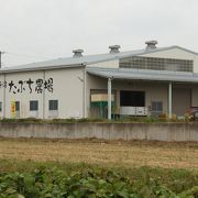 兵庫県篠山市　買う　「たぶち農場」