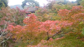 海外にも人気あり