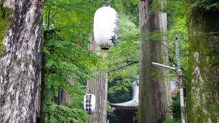 老大樹に包まれてパワーを感じる神社です