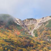 日本最高所から流れる幻の滝