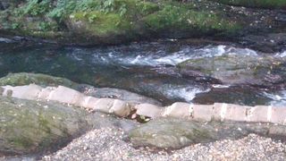 国天然記念物 横川の蛇石がある