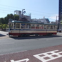 やっぱりこのデザインが一押しです！