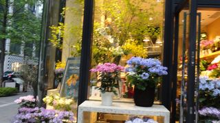 思わず足を止める美しさ