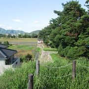 小浜神社