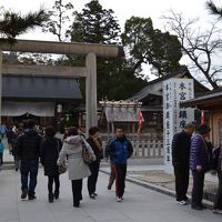近くの神社で初詣！