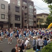 大盛り上がりの阿波踊り祭り