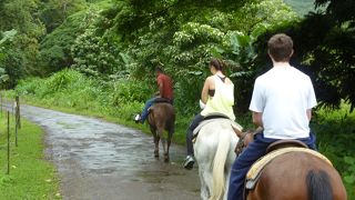 ワイピオ渓谷での乗馬体験