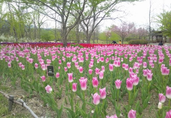 国営アルプスあづみの公園 堀金 穂高地区 クチコミ アクセス 営業時間 穂高 安曇野 フォートラベル 国営アルプスあづみの公園 堀金 穂高地区 クチコミ アクセス 営業時間 穂高 安曇野 フォートラベル