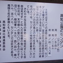 センダンに関してはこちらをご参照下さい