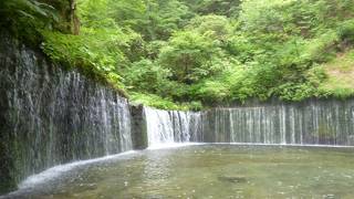 涼しくて綺麗な滝