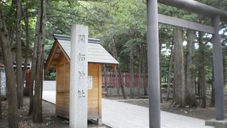 背の高い樹木に囲まれた神社