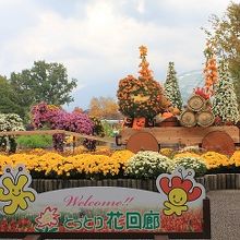 鳥取県立フラワーパークとっとり花回廊