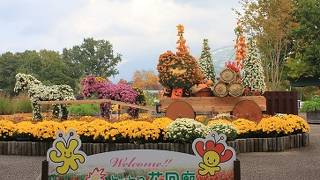 鳥取県立フラワーパークとっとり花回廊